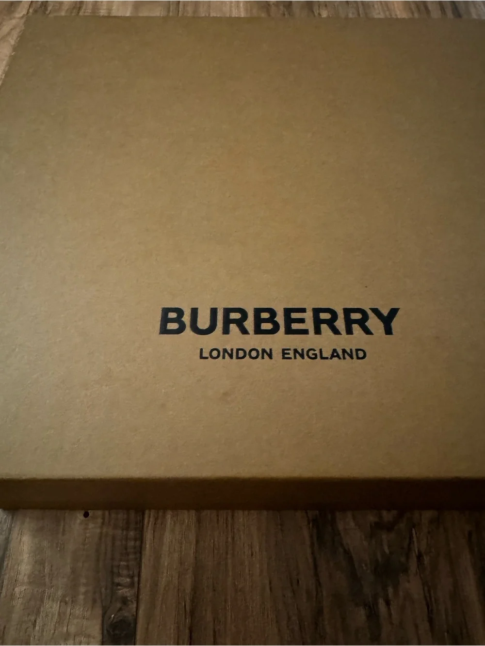 Burberry stylish men